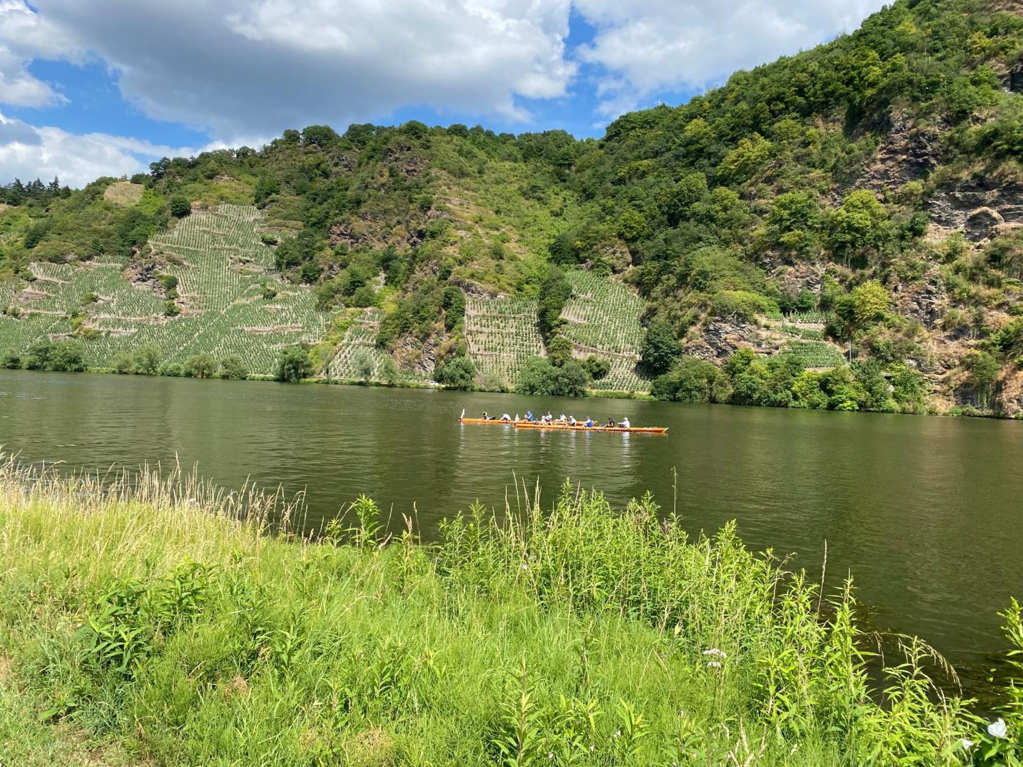 Fewo Sonnenlay - Apartments An Der Mosel Brauneberg Exteriér fotografie